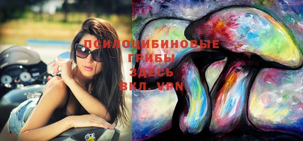 дмт Липки