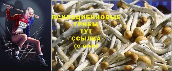 марки nbome Лиски