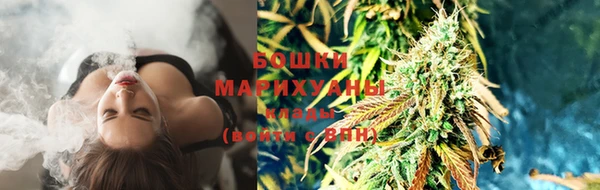 стаф Лихославль