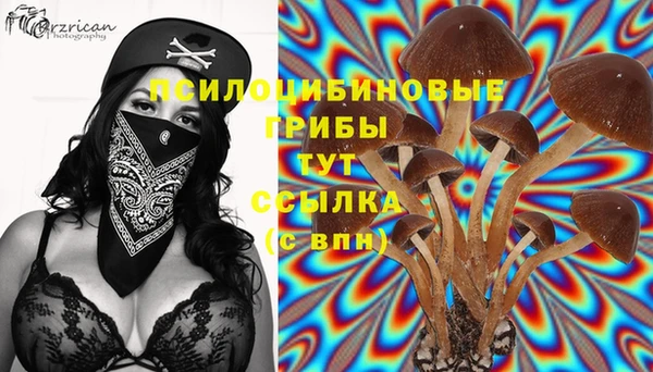 марки nbome Лиски